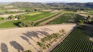 Provence, Güney Fransa 'da selvi ağaçları, zeytin ağaçları ve üzüm bağlarıyla hava manzaralı Akdeniz manzarası