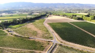 Provence, Güney Fransa 'da selvi ağaçları, zeytin ağaçları ve üzüm bağlarıyla hava manzaralı Akdeniz manzarası