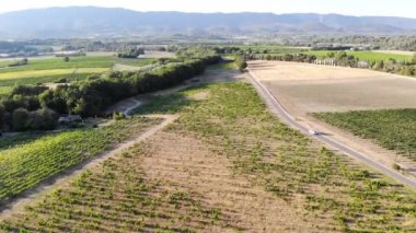 Provence, Güney Fransa 'da selvi ağaçları, zeytin ağaçları ve üzüm bağlarıyla hava manzaralı Akdeniz manzarası