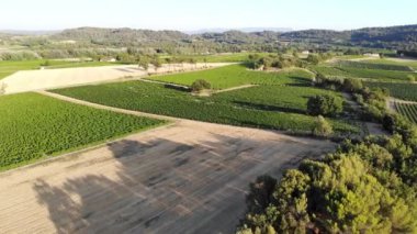 Aerial scenic Mediterranean landscape with cypresses, olive trees and vineyards in Provence, Southern France