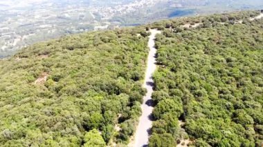 Provence, Güney Fransa 'da selvi ağaçları, zeytin ağaçları ve üzüm bağlarıyla hava manzaralı Akdeniz manzarası