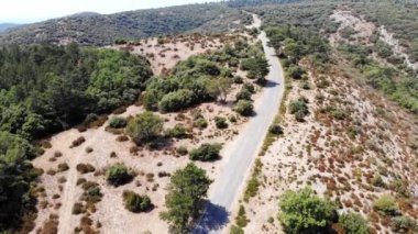 Provence, Güney Fransa 'da selvi ağaçları, zeytin ağaçları ve üzüm bağlarıyla hava manzaralı Akdeniz manzarası