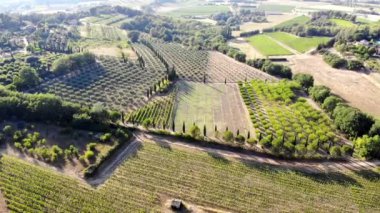 Provence, Güney Fransa 'da selvi ağaçları, zeytin ağaçları ve üzüm bağlarıyla hava manzaralı Akdeniz manzarası