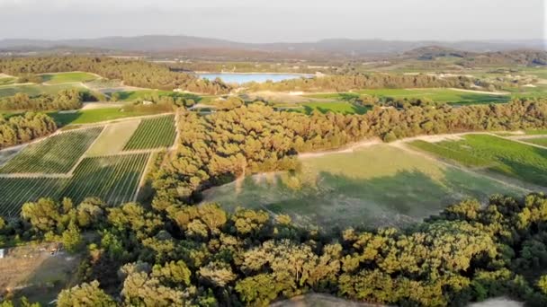 Aerial Scenic Mediterranean Landscape Cypresses Olive Trees Vineyards Pond Bonde — Vídeos de Stock