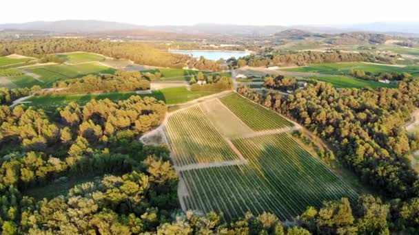 Aerial Scenic Mediterranean Landscape Cypresses Olive Trees Vineyards Pond Bonde — Vídeo de Stock