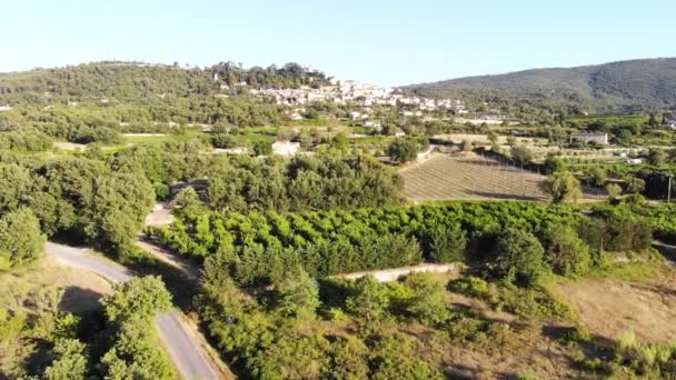 Aerial Scenic Mediterranean Landscape Cypresses Olive Trees Vineyards Provence Southern — Video
