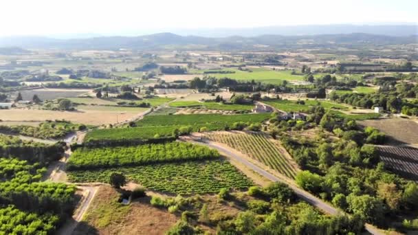 Aerial Scenic Mediterranean Landscape Cypresses Olive Trees Vineyards Provence Southern — Vídeos de Stock