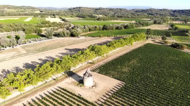 法国南部普罗旺斯的地中海空中风景 有磨坊 橄榄树和葡萄园 — 图库视频影像