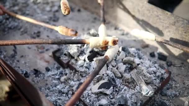 아이들은 숲에서 피크닉을하는 화재에 막대기에 어린이를위한 — 비디오