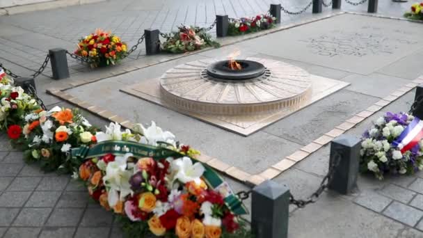 Paris France November 2023 Eternal Flame Tomb Unknown Soldier Surrounded — Stock Video
