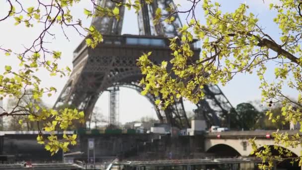 Landschappelijk Uitzicht Eiffeltoren Boomtakken Met Eerste Bladeren Vroege Ochtend Lente — Stockvideo