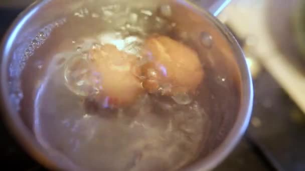 Dos Huevos Hirviendo Agua Caliente Una Olla Cocción Estufa Gas — Vídeos de Stock