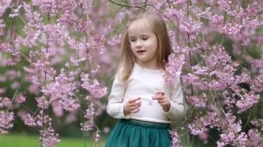 Sevimli anaokulu kızı kiraz çiçeği mevsiminde parkta güzel bir bahar gününün tadını çıkarıyor. Çocuklar için ilkbahar aktiviteleri. Doğayı keşfeden küçük çocuk