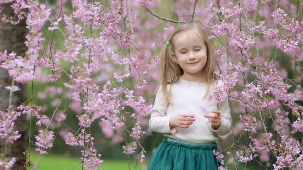 Nuttet Førskolepige Nyder Dejlig Forårsdag Parken Løbet Kirsebærblomstringsperioden Udendørs Forår – Stock-video