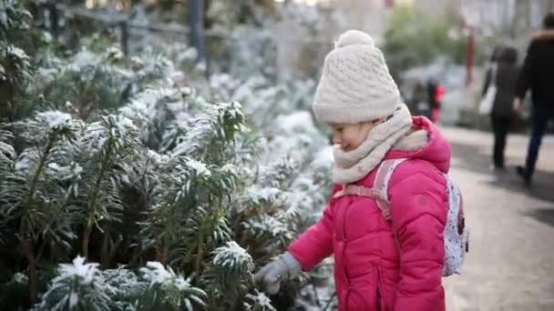 Чарівна Дівчина Дошкільнята Розважається Прекрасному Зимовому Парку Сніговий Холодний Зимовий — стокове відео