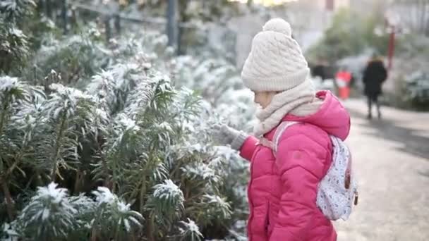 Bedårande Förskoleflicka Som Har Roligt Vackra Vinterparken Snöig Kall Vinterdag — Stockvideo