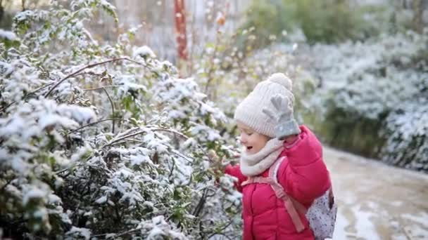 Adorable Preschooler Girl Having Fun Beautiful Winter Park Snowy Cold — Stock Video