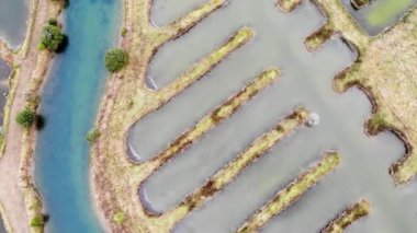 Salterler, doğal tuz işleri için hipertuzlu su olan bölgeler, Les Sables dOlonne, Vendee Bölümü, Pays de la Loire, Fransa