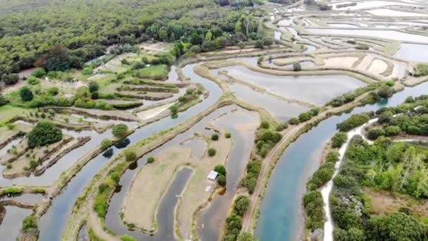 Salterns Areas Hypersaline Water Natural Salt Works Pobliżu Les Sables — Wideo stockowe