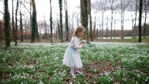 Cute Przedszkolak Dziewczyna Zielonej Spódnicy Tutu Zbieranie Kwiatów Śniegu Parku — Wideo stockowe