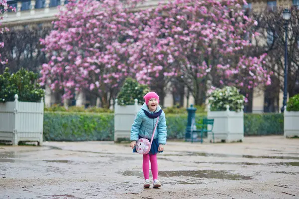 Entzückendes Vorschulmädchen Genießt Rosa Magnolien Voller Blüte Einem Regnerischen Tag Stockbild