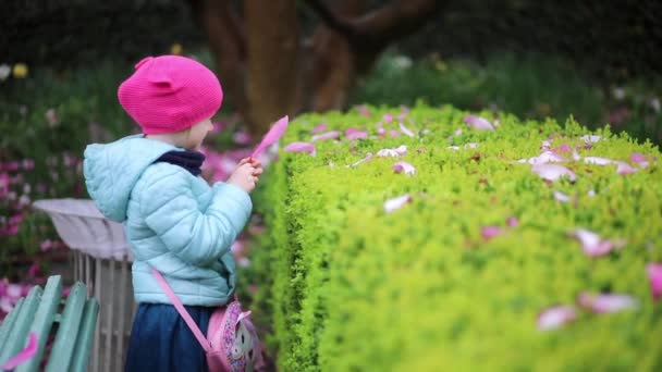 フランスのパリの公園で雨の日に満開でピンクのマグロリアを楽しむ愛らしい幼稚園の少女 — ストック動画