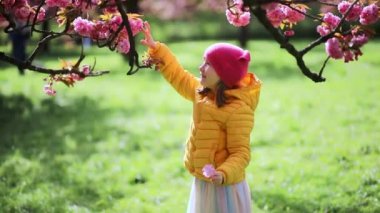 Paris, Fransa yakınlarındaki Park of Sceaux 'da güneşli bir bahar gününün tadını çıkaran sevimli anaokulu kızı. Güzel çocuk pembe kiraz ağaçlarının altında eğleniyor.