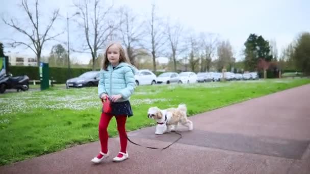 可爱的学龄前女孩在公园用皮带牵着她的石子犬散步 照顾宠物的孩子 慢动作 — 图库视频影像