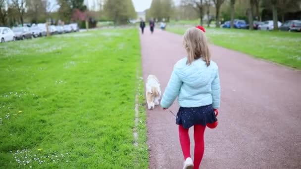 Parkta Shih Tzu Köpeğini Gezdiren Sevimli Anaokulu Kızı Evcil Hayvanla — Stok video