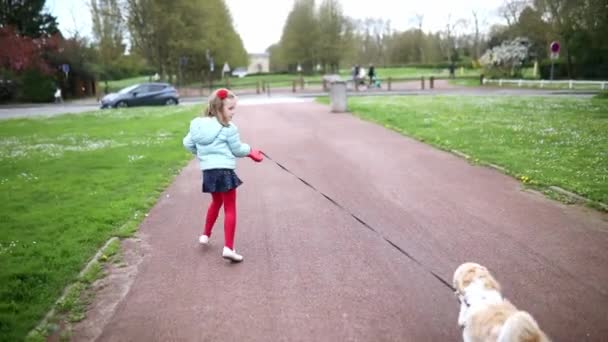 親愛なる幼稚園の少女は 公園でリーシュに彼女のShi Tzu犬を歩いています ペットの世話をする子供 スローモーション — ストック動画