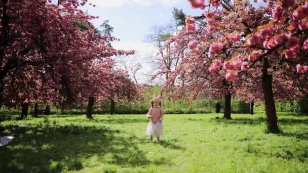フランスのパリ近郊のセソー公園で日当たりの良い春の日を楽しむバニー耳の装飾を着た愛らしい幼稚園の少女 ピンクの桜の木の下で楽しんでいる美しい子供 — ストック動画