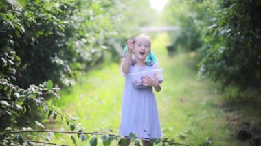 Sevimli anaokulu kızı çiftlikten taze organik erik topluyor. Küçük çocuklar için lezzetli sağlıklı atıştırmalıklar. Küçük çocuklar için açık hava yaz aktiviteleri