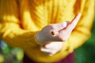 Anaokulu kızı, uğurböceğine bakıyor. Ellerinde ve parmaklarında sürünüyor.