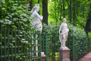 Rusya 'nın Saint-Petersburg kentindeki en güzel parklardan biri olan heykelleri ve çeşmeleriyle yaz bahçesinin manzarası.