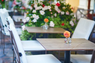 Finlandiya 'nın Helsinki kentindeki açık sokak kafesi çiçeklerle süslenmiştir.