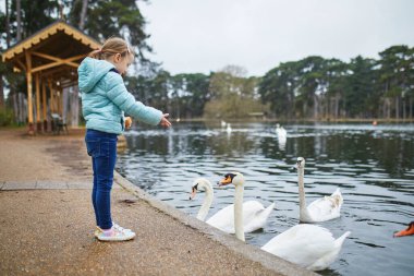 Fransa 'nın Paris şehrinde güzel bir bahar gününde kuğuları besleyen sevimli anaokulu kızı.