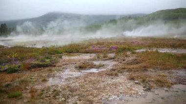 İzlanda 'da sisli yağmurlu bir günde ünlü Strokkur gayzerinin yanında fumaroleler