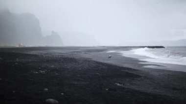 Reynisfjara 'nın güney İzlanda' daki Vik yakınlarındaki kara kumsal manzarası.
