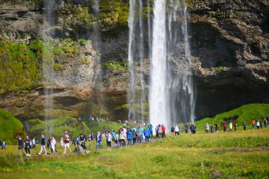 SELJALANDSFOSS, ICELAND - JULY 15, 2024: Lots of tourists enjoying scenic view of Seljalandsfoss waterfall where visitors can enter the cave behind the waterfall clipart