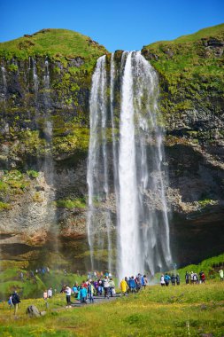 SELJALANDSFOSS, ICELAND - JULY 15, 2024: Lots of tourists enjoying scenic view of Seljalandsfoss waterfall where visitors can enter the cave behind the waterfall clipart