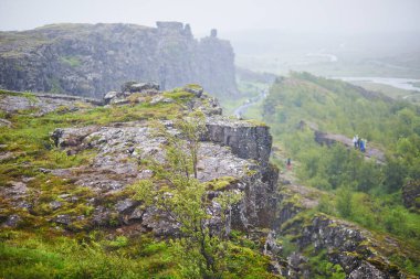 İzlanda 'daki Thingvellir Ulusal Parkı' nın manzarası. Siyah volkanik kayalar ve yeşil bitkiler.