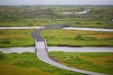 İzlanda 'daki Thingvellir Ulusal Parkı' nın manzarası. Siyah volkanik kayalar ve yeşil bitkiler.
