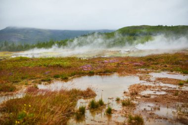 İzlanda 'da sisli yağmurlu bir günde ünlü Strokkur gayzerinin yanında fumaroleler