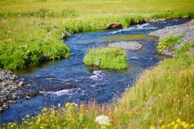 Clear water of a brook near Seljalandsfoss waterfall in Iceland clipart