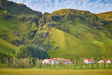Güney İzlanda 'da buzlu ve karlı görkemli uçurumların yanında kırmızı çatıları olan güzel evler.