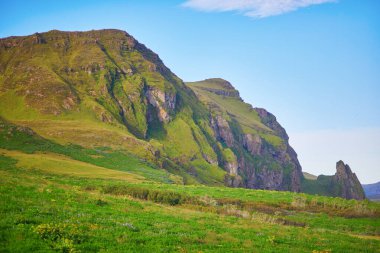 Yeşil tarlaları olan güzel doğa manzarası ve Güney İzlanda 'da buzlu ve karlı görkemli uçurumlar.