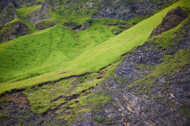 Reynisfjara 'daki bazalt kaya oluşumları İzlanda' daki Vik yakınlarında Kara Kum plajı.
