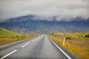 Güney İzlanda 'da kayalıkları ve tarlaları olan görkemli yaz manzaraları