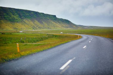 Güney İzlanda 'da kayalıkları ve tarlaları olan görkemli yaz manzaraları