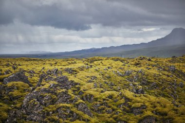 Yeşil tarlaları olan güzel doğa manzarası ve Güney İzlanda 'da buzlu ve karlı görkemli uçurumlar.